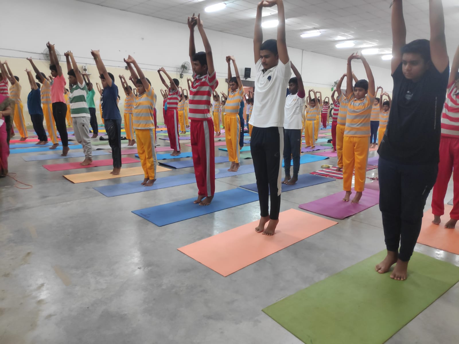 International yoga day celebrations 2024-25