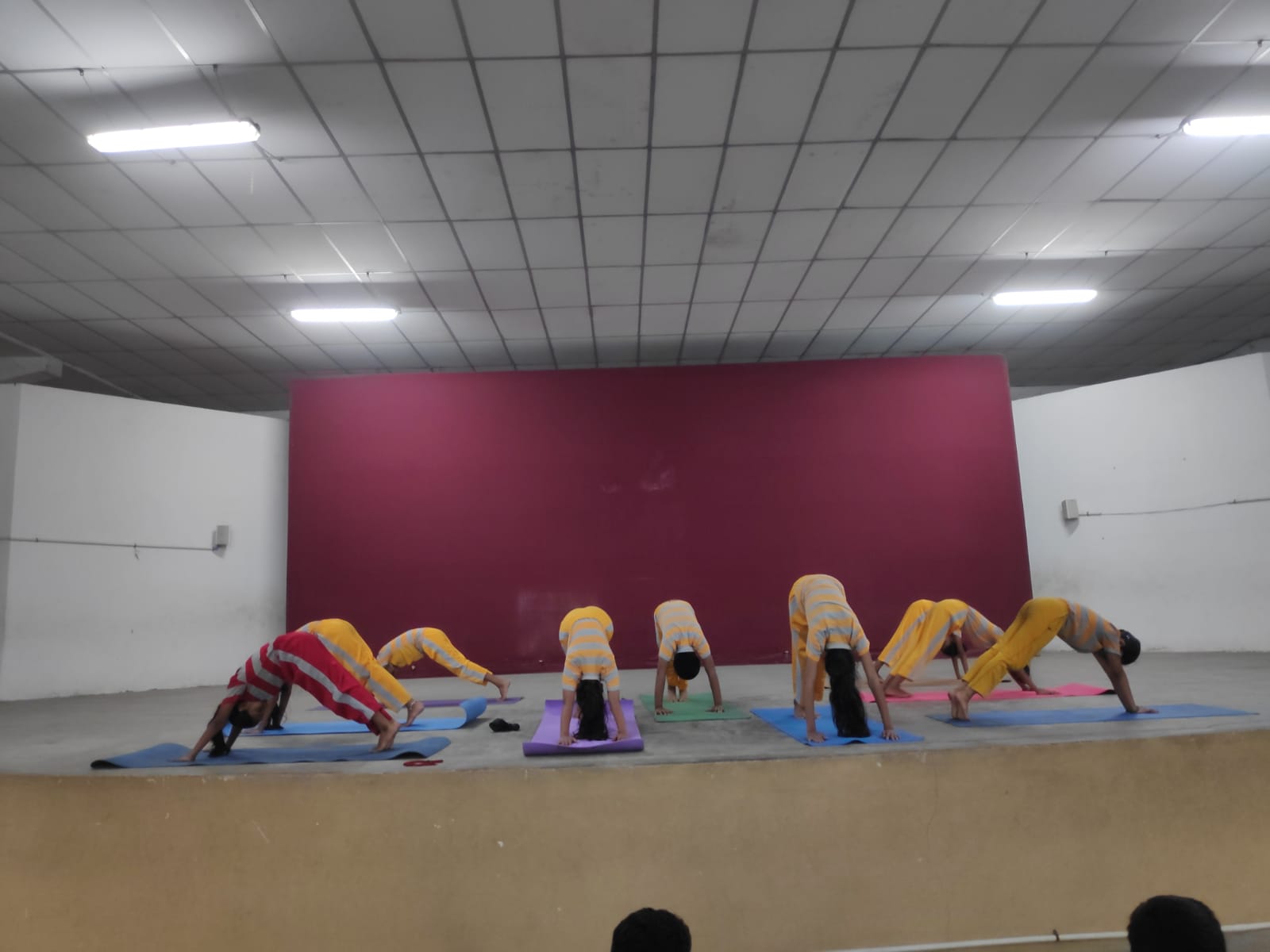 International yoga day celebrations 2024-25