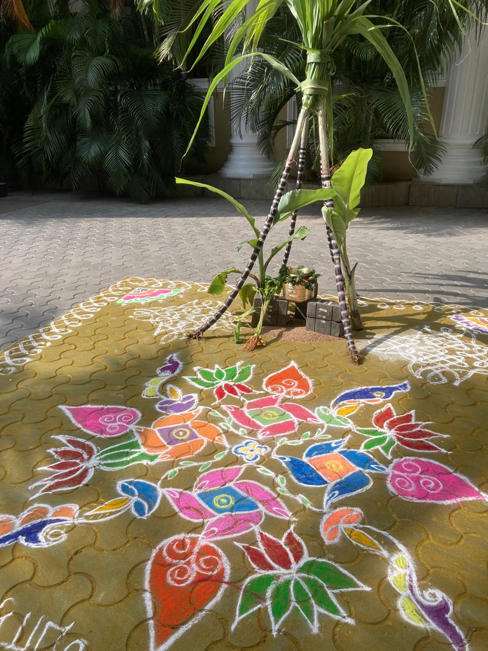 Pongal Celebration(2025-26)